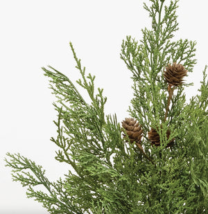 Western Cedar & Pinecone Bush 19”
