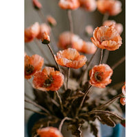 Plant/Flower - Poppy Flower Stem in Orange 23" tall