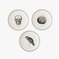 Halloween Ephemera Plate and Napkin Bundle