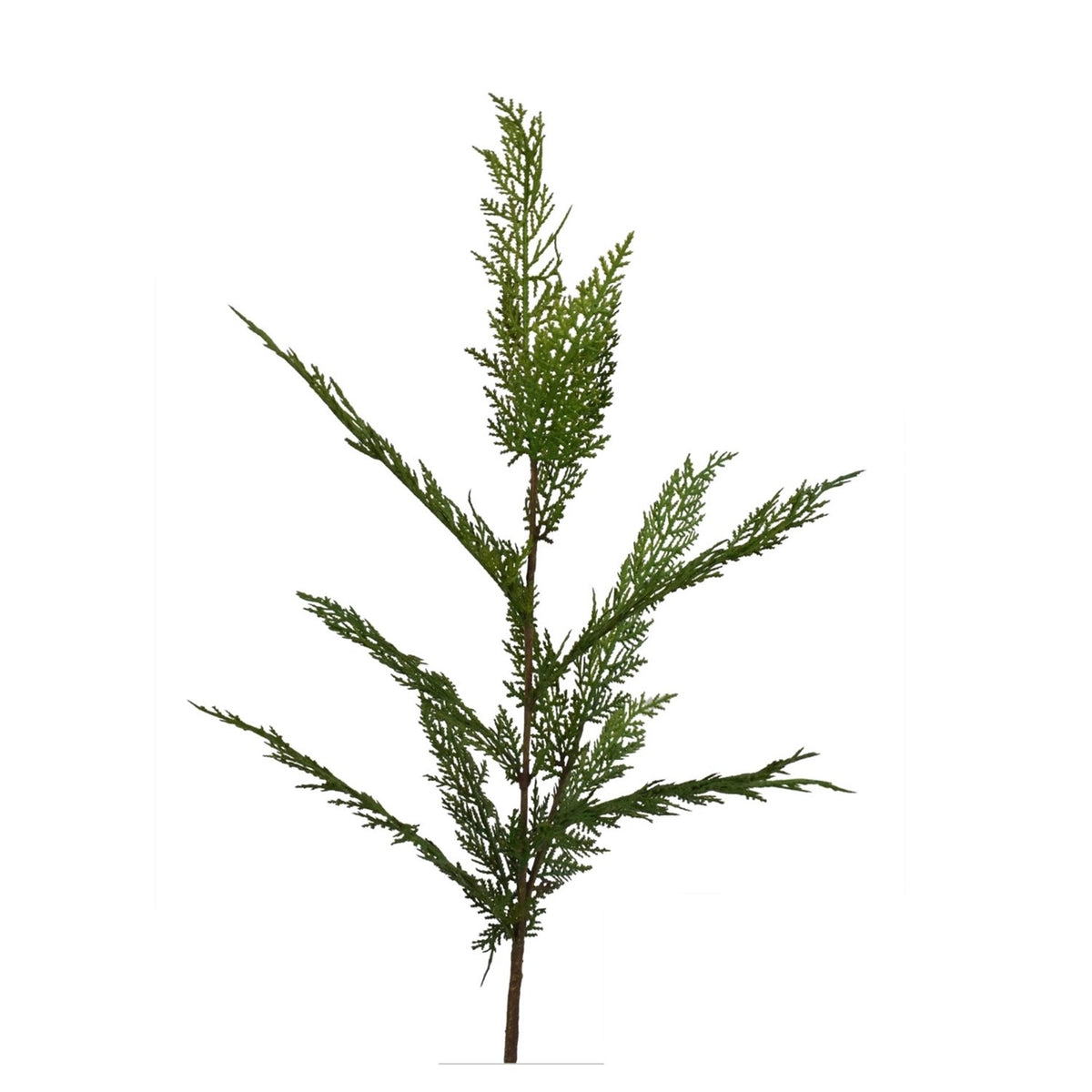 Plant/Flower Stem 34” Selaginella Fresh Touch Cedar Spray