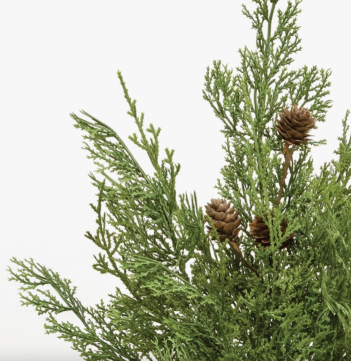 Plants/Flowers Western Cedar & Pinecone Bush 19”